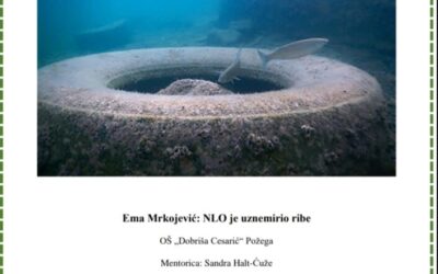 EMA MRKOJEVIĆ – SREBRNA NA DRŽAVNOM NATJEČAJU „NAJ EKO FOTKA“