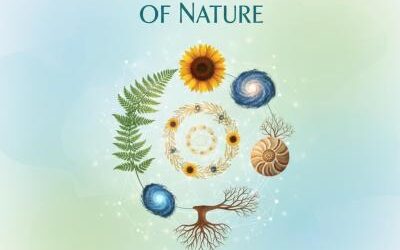 THE HIDDEN MATHEMATICS OF NATURE